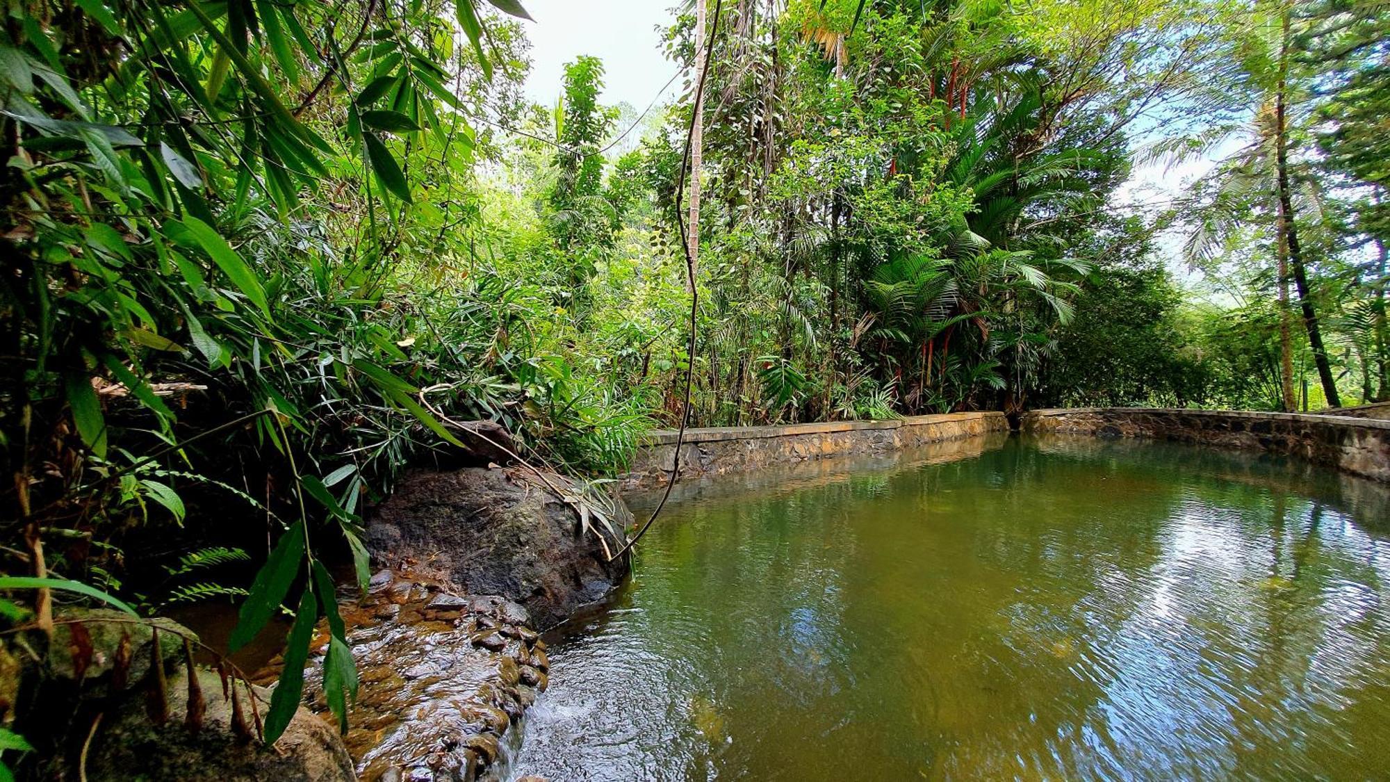 Singharaja Garden Agro Eco Lodge Pelawatta  Cameră foto